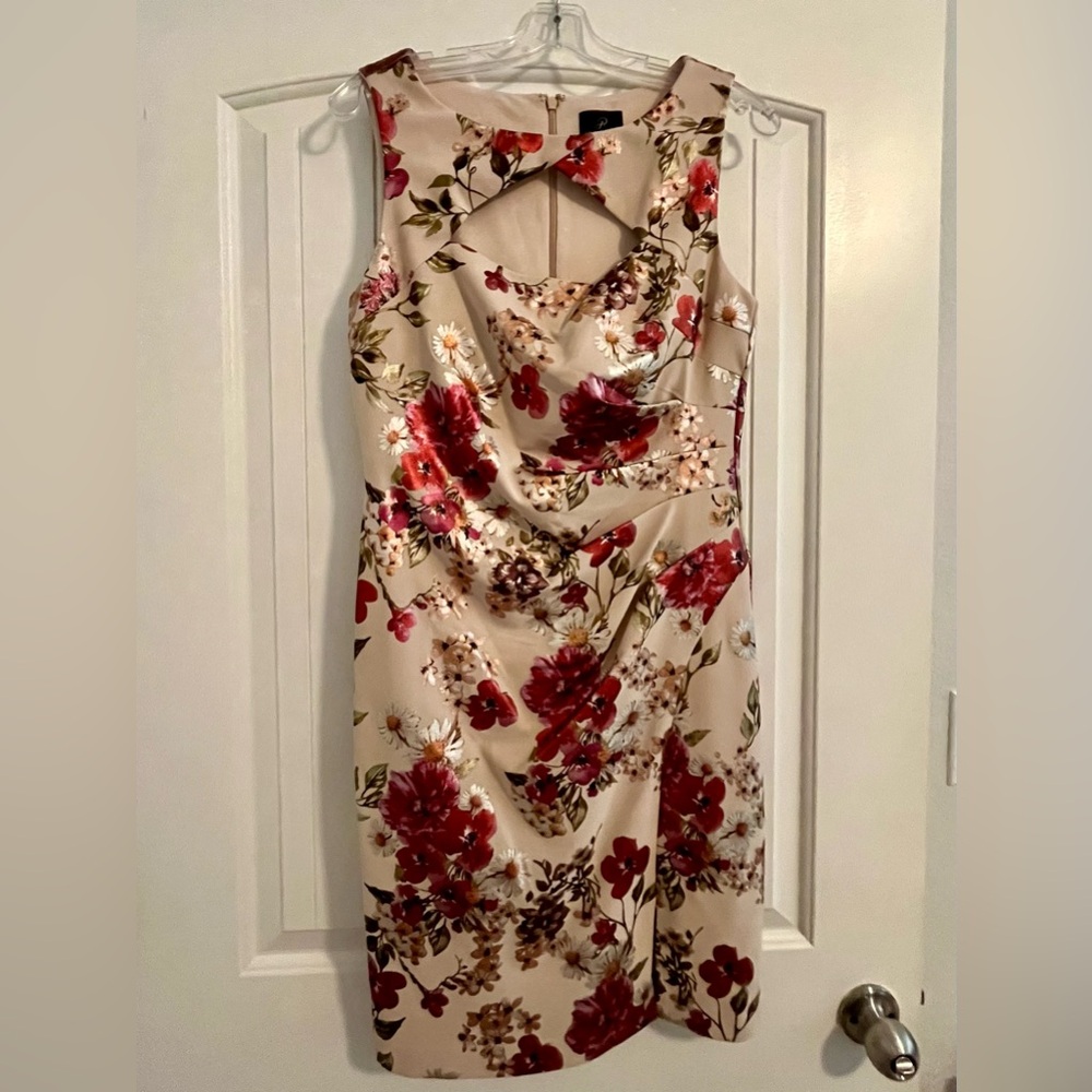 Adrianna Papell Dress